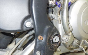 SCORPA TYS125F 2020