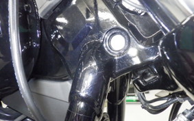 HARLEY FXBBS1870 2021