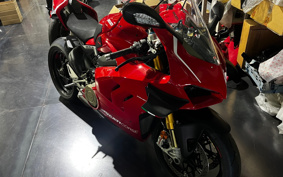 DUCATI PANIGA-REV4S 2020 DA00J