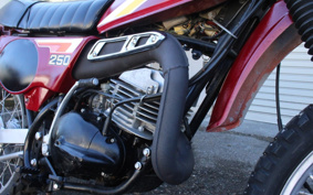 SUZUKI HUSTLER250 TS2504