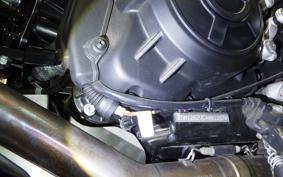 DUCATI DIAVEL 1260 S 2019