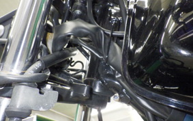 HONDA FTR223 2025 MC34