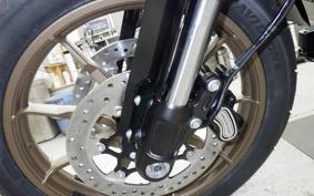 HARLEY FXLRST1920 2025