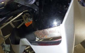 KAWASAKI ESTRELLA RS 2021 BJ250A