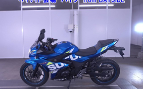 OTHER GSX250 R