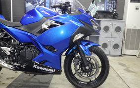 KAWASAKI NINJA 250 2006 EX250P