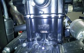 OTHER +MUTT DRK-01 250 1999