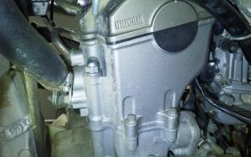 HONDA CRF250X