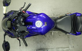 YAMAHA YZF-R25 2019 RG43J