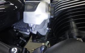 TRIUMPH STREET TWIN 2021