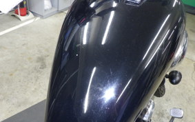 YAMAHA VIRAGO 250 2020 3DM