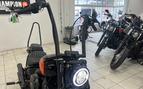 HARLEY FXBBS 2021 YYK