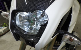 BMW HP2 MEGAMOTO 2009