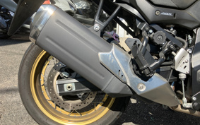 SUZUKI DL650 ( V-Strom 650 ) 2022 C733M