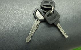 KAWASAKI SUPER SHERPA KL250G