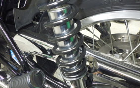 KAWASAKI W800 2019 EJ800B