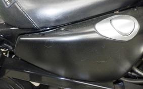 HARLEY XL883N 2010