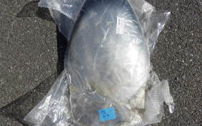 SUZUKI SKYWAVE 250 (Burgman 250) Gen.2 CJ43A