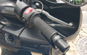 SUZUKI SKYWAVE 250 CJ46A