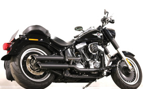 HARLEY FLSTFB 2009 JN5