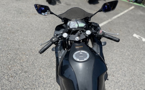 YAMAHA YZF-R25 RG43J