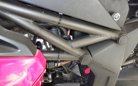 OTHER +ﾒｶﾞﾘ250R