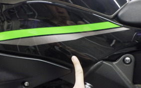 KAWASAKI NINJA ZX-6R A 2024 ZX636J