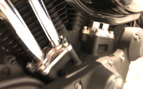 HARLEY XL883N 2016 LE2