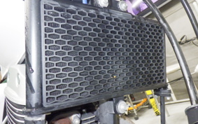 OTHER +GPX LEGEND250ﾂｲﾝ-3