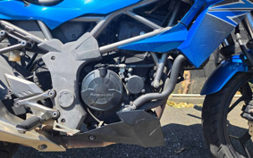 KAWASAKI Z250 SL BR250E
