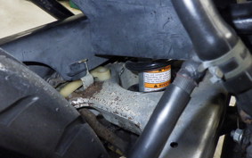 YAMAHA RZ250R 2001 29L