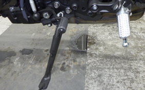 YAMAHA XSR900 2024 RN80J