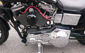 HARLEY FXDL 100th 2003 GDV