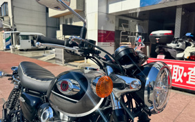 KAWASAKI W800 2024 EJ800E