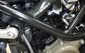 HUSQVARNA SVARTPILEN 250