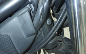 YAMAHA TRICKER 2022 DG10J