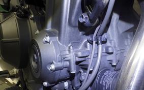 HONDA NX400 2024 NC65