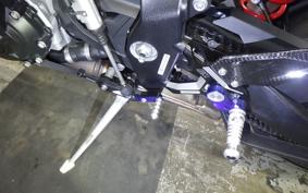 BMW S1000RR M DDC 2024