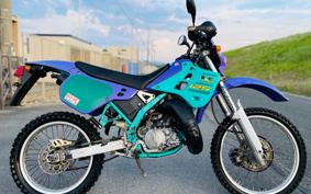 KAWASAKI KDX125 SR DX125A