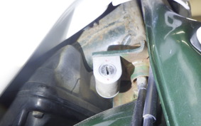 HONDA C50 SUPER CUB 2019 C50