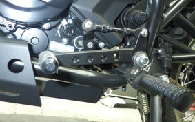 OTHER マットモーターサイクル250