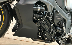 BMW K1300R 2009 0518