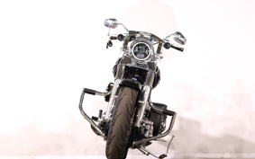 HARLEY FLSTF 2015 BX5