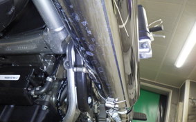 HARLEY FLSTFI1920 2025