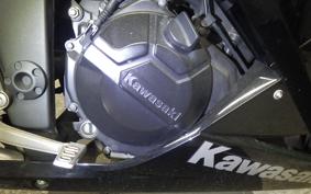 KAWASAKI NINJA 250 EX250L