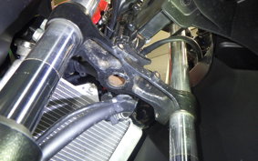 SUZUKI GSX-R125 2007 DL33B