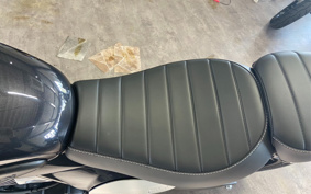 TRIUMPH SCRAMBLER 400XC 2025 T13761