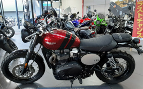 TRIUMPH  TRIUMPH  STREET  SCRAMBLER  2021 DAD78G