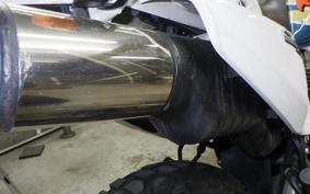 YAMAHA TT250R RAID 4GY