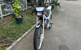 SCORPA TY-S125F